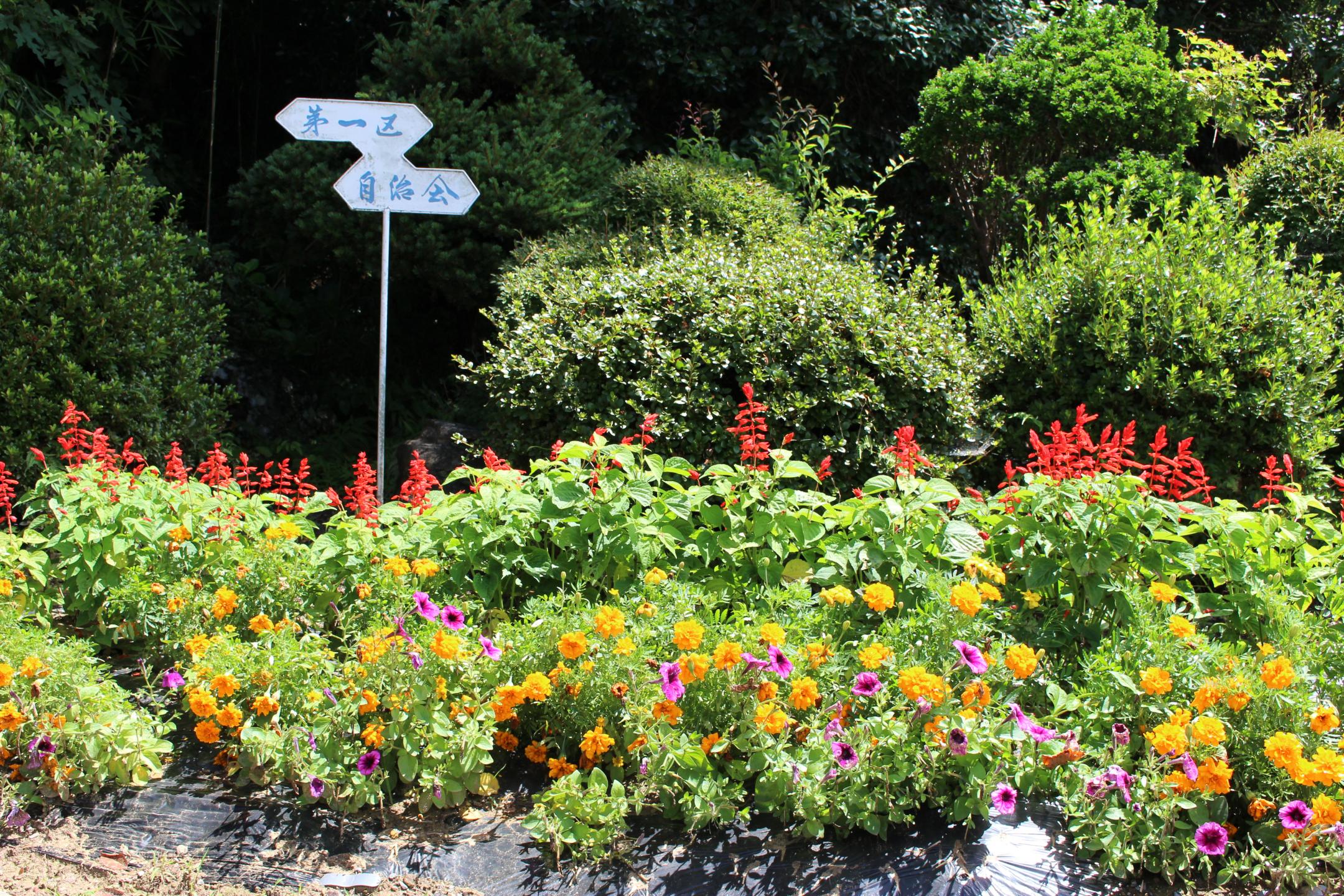 第１区自治会の花壇